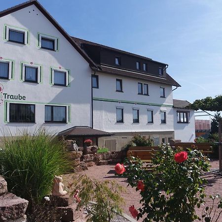 Landhotel Traube Seewald Luaran gambar